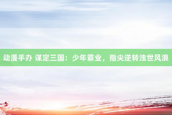 动漫手办 谋定三国：少年霸业，指尖逆转浊世风浪