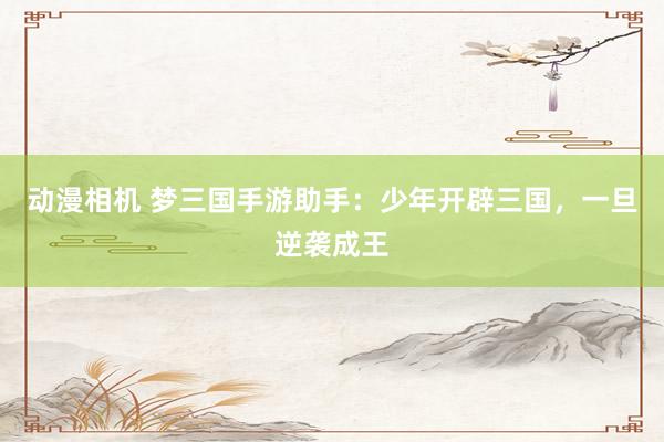 动漫相机 梦三国手游助手：少年开辟三国，一旦逆袭成王