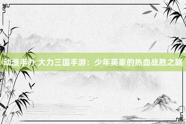 动漫手办 大力三国手游：少年英豪的热血战胜之路
