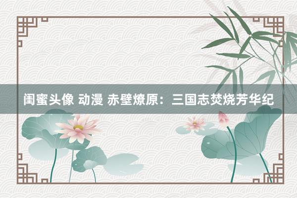 闺蜜头像 动漫 赤壁燎原：三国志焚烧芳华纪