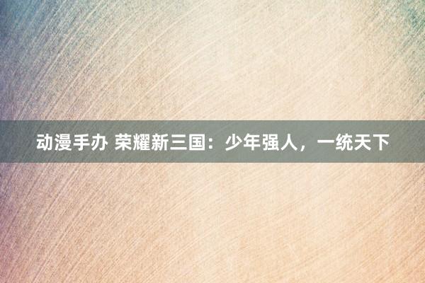 动漫手办 荣耀新三国：少年强人，一统天下
