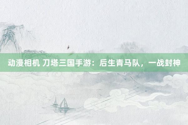 动漫相机 刀塔三国手游：后生青马队，一战封神