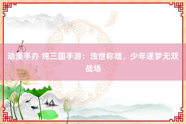 动漫手办 纯三国手游：浊世称雄，少年逐梦无双战场