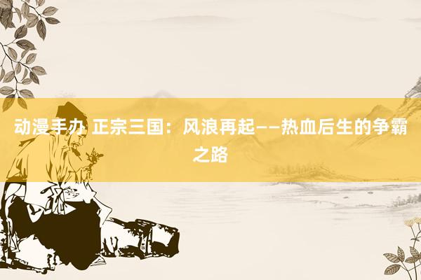 动漫手办 正宗三国：风浪再起——热血后生的争霸之路