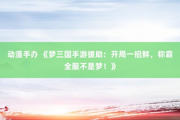 动漫手办 《梦三国手游援助：开局一招鲜，称霸全服不是梦！》