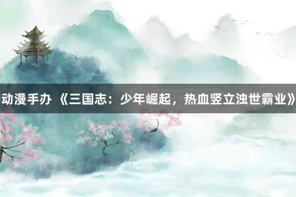 动漫手办 《三国志：少年崛起，热血竖立浊世霸业》