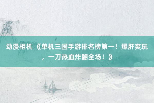 动漫相机 《单机三国手游排名榜第一！爆肝爽玩，一刀热血炸翻全场！》