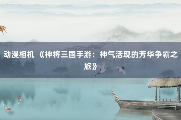 动漫相机 《神将三国手游：神气活现的芳华争霸之旅》