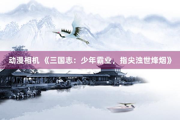 动漫相机 《三国志：少年霸业，指尖浊世烽烟》