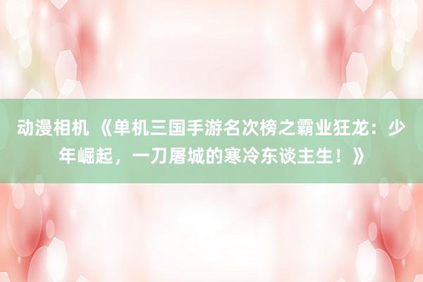 动漫相机 《单机三国手游名次榜之霸业狂龙：少年崛起，一刀屠城的寒冷东谈主生！》
