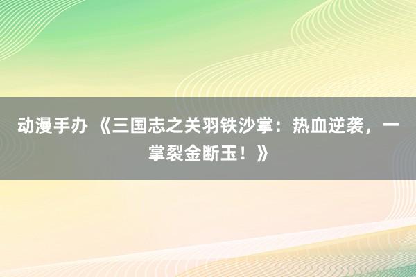 动漫手办 《三国志之关羽铁沙掌：热血逆袭，一掌裂金断玉！》