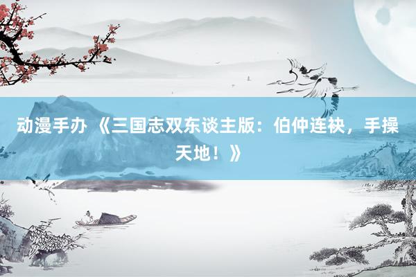 动漫手办 《三国志双东谈主版：伯仲连袂，手操天地！》