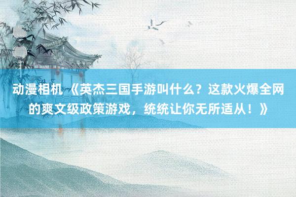动漫相机 《英杰三国手游叫什么？这款火爆全网的爽文级政策游戏，统统让你无所适从！》