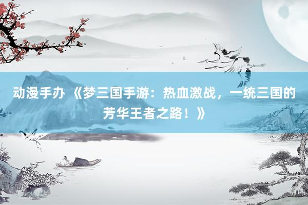 动漫手办 《梦三国手游：热血激战，一统三国的芳华王者之路！》