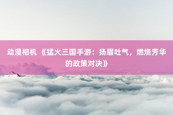 动漫相机 《猛火三国手游：扬眉吐气，燃烧芳华的政策对决》