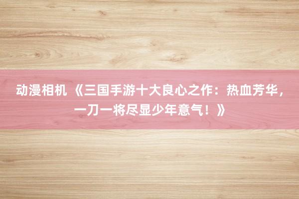 动漫相机 《三国手游十大良心之作：热血芳华，一刀一将尽显少年意气！》