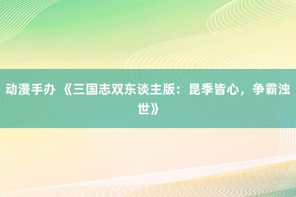 动漫手办 《三国志双东谈主版：昆季皆心，争霸浊世》