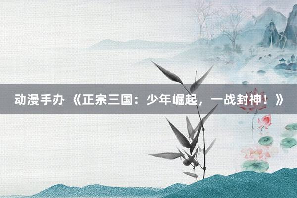 动漫手办 《正宗三国：少年崛起，一战封神！》