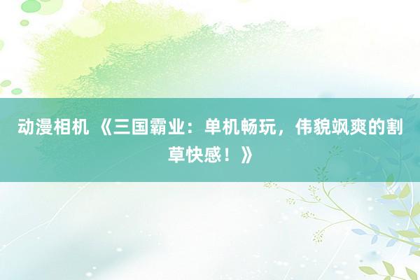动漫相机 《三国霸业：单机畅玩，伟貌飒爽的割草快感！》