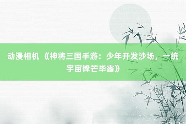 动漫相机 《神将三国手游：少年开发沙场，一统宇宙锋芒毕露》