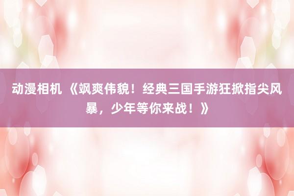 动漫相机 《飒爽伟貌！经典三国手游狂掀指尖风暴，少年等你来战！》