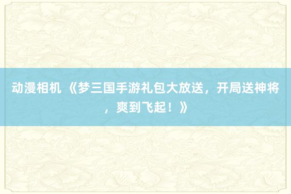 动漫相机 《梦三国手游礼包大放送，开局送神将，爽到飞起！》