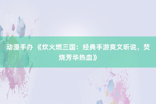 动漫手办 《炊火燃三国：经典手游爽文听说，焚烧芳华热血》
