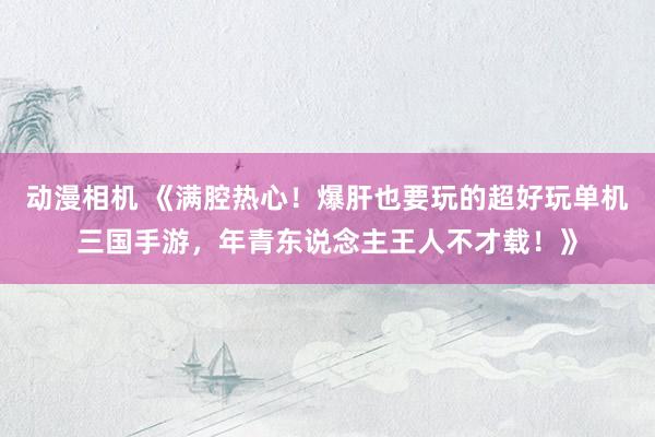 动漫相机 《满腔热心！爆肝也要玩的超好玩单机三国手游，年青东说念主王人不才载！》