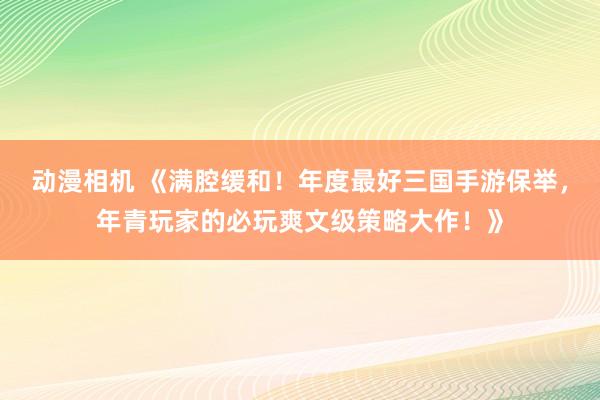 动漫相机 《满腔缓和！年度最好三国手游保举，年青玩家的必玩爽文级策略大作！》