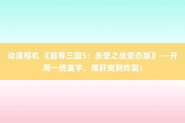 动漫相机 《超等三国5：赤壁之战变态版》——开局一统寰宇，爆肝爽到炸裂！