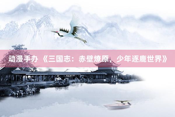 动漫手办 《三国志：赤壁燎原，少年逐鹿世界》